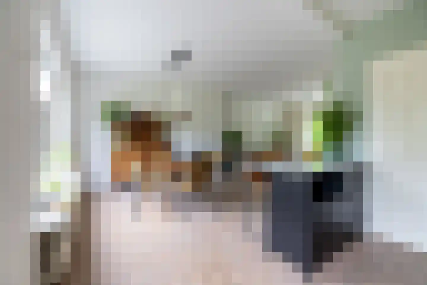 Diepenbroekstraat 23 Wehl thumbnail 12