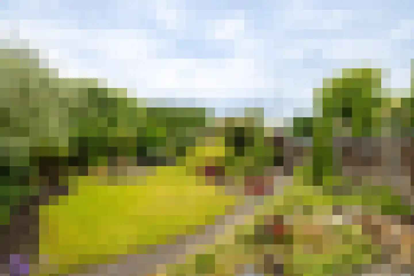 Diepenbroekstraat 23 Wehl thumbnail 15