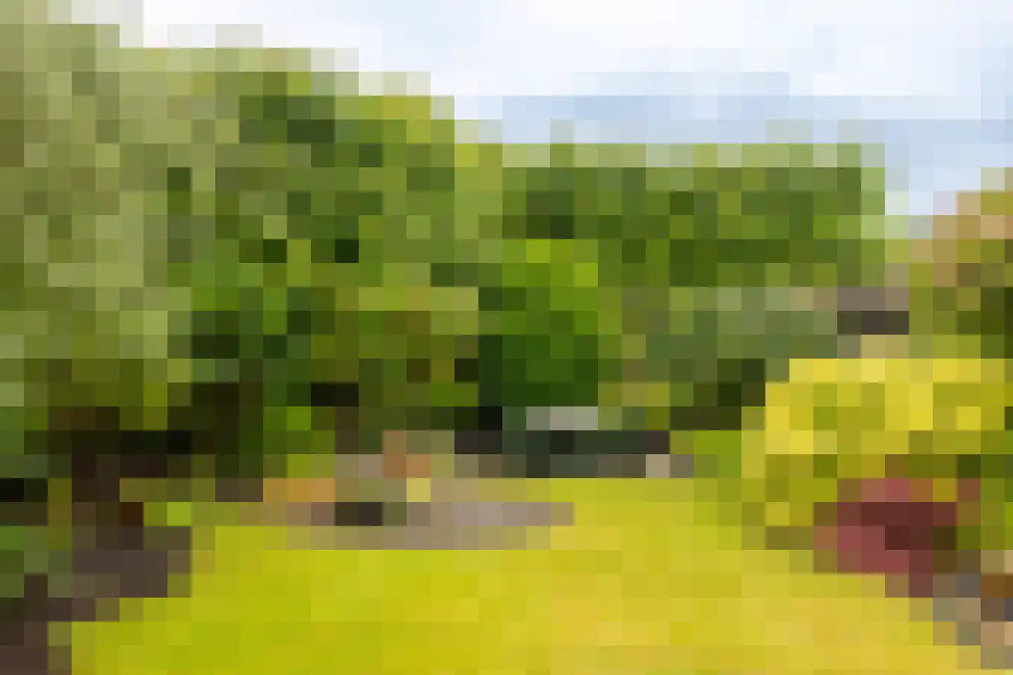 Diepenbroekstraat 23 Wehl thumbnail 18