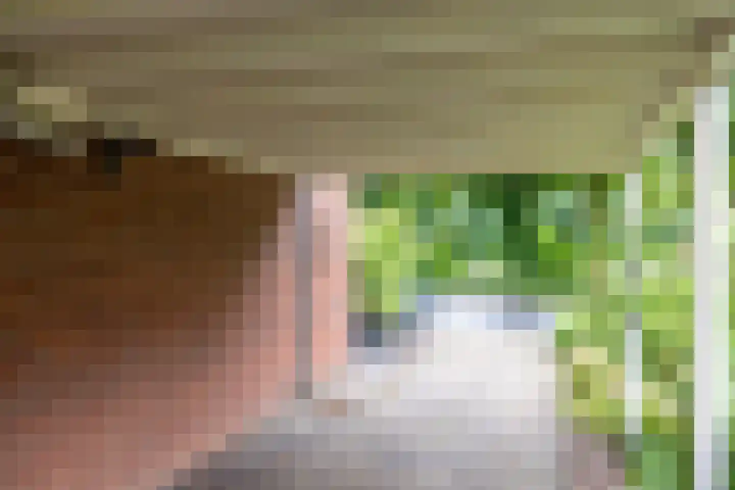 Diepenbroekstraat 23 Wehl thumbnail 23