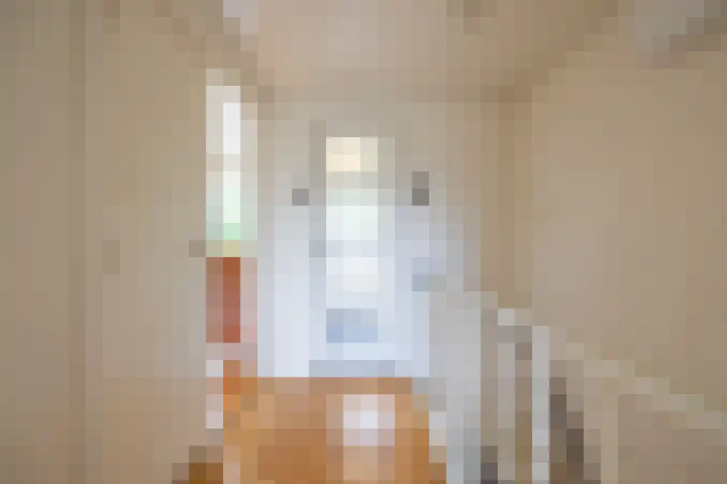 Diepenbroekstraat 23 Wehl thumbnail 27