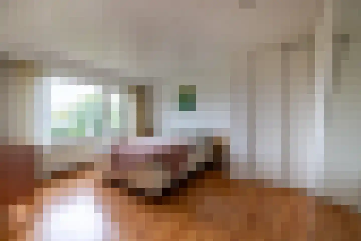 Diepenbroekstraat 23 Wehl thumbnail 28