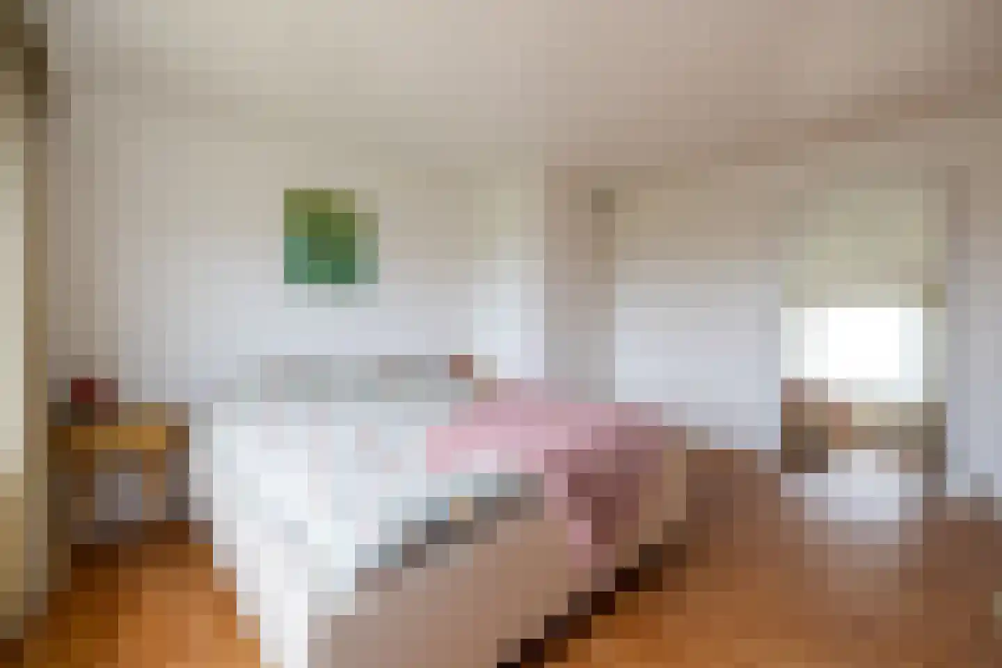 Diepenbroekstraat 23 Wehl thumbnail 29