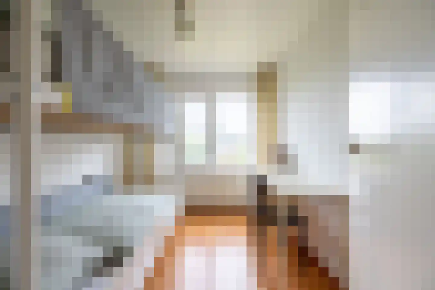 Diepenbroekstraat 23 Wehl thumbnail 30