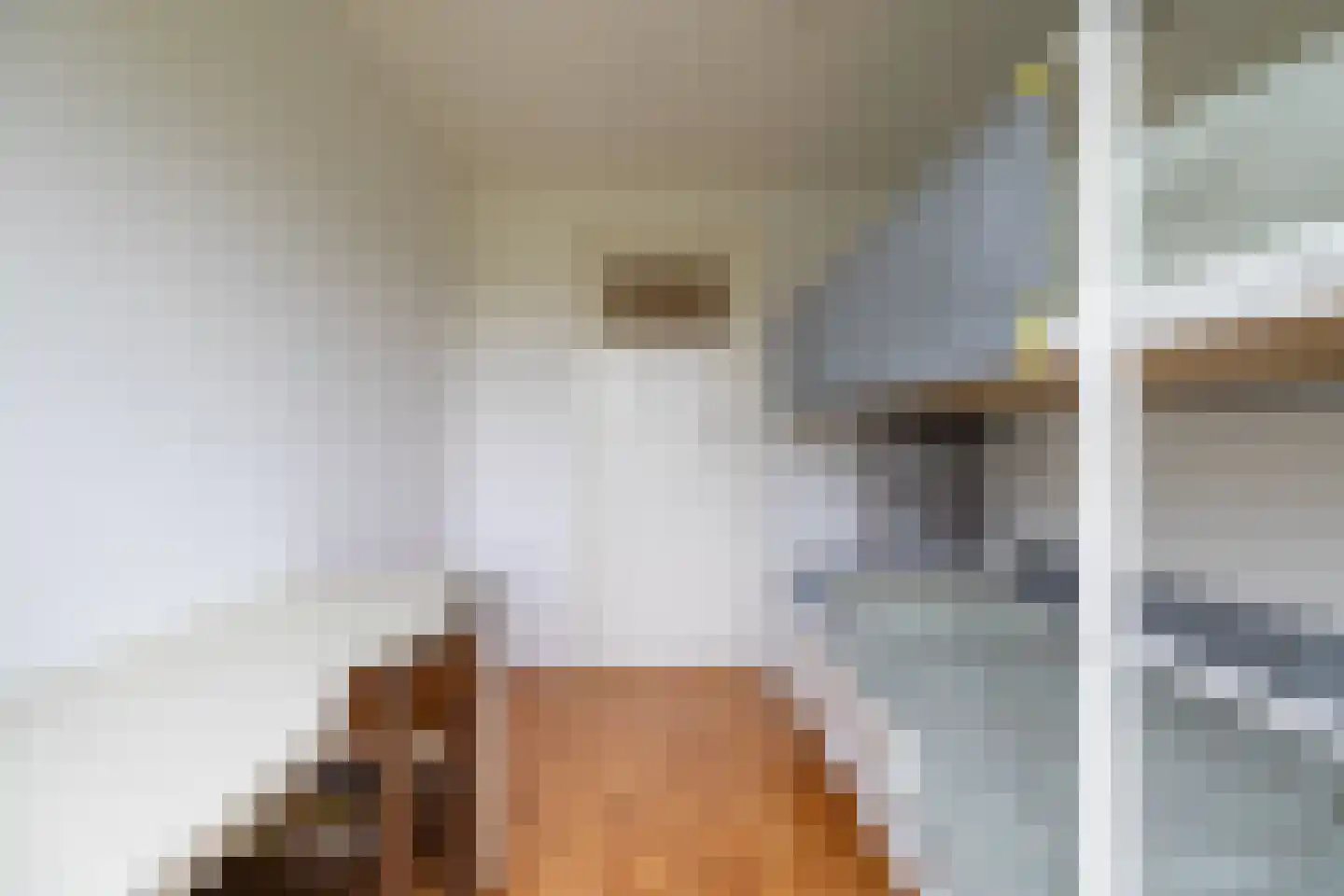 Diepenbroekstraat 23 Wehl thumbnail 31