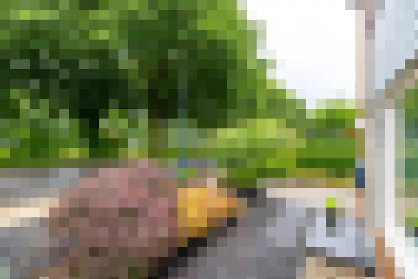Diepenbroekstraat 23 Wehl thumbnail 41