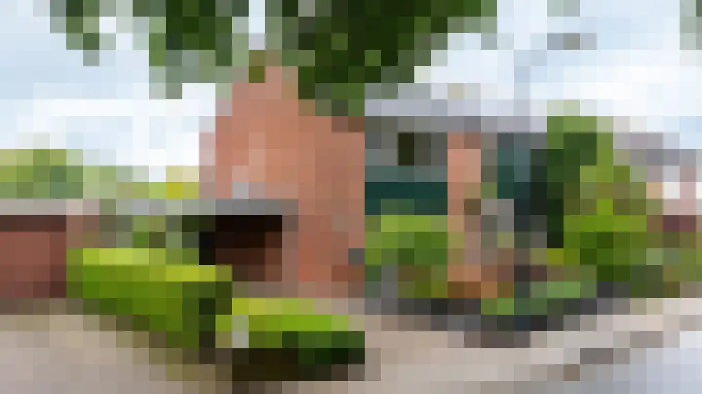Diepenbroekstraat 23 Wehl thumbnail 43