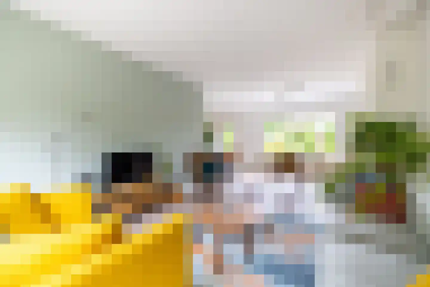 Diepenbroekstraat 23 Wehl thumbnail 6