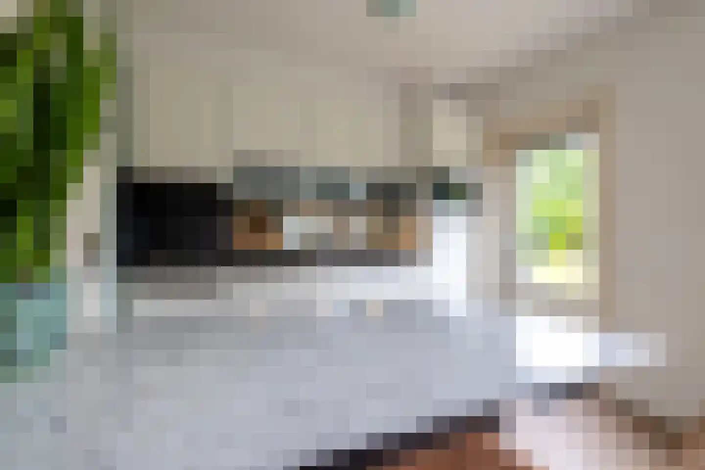 Diepenbroekstraat 23 Wehl thumbnail 9