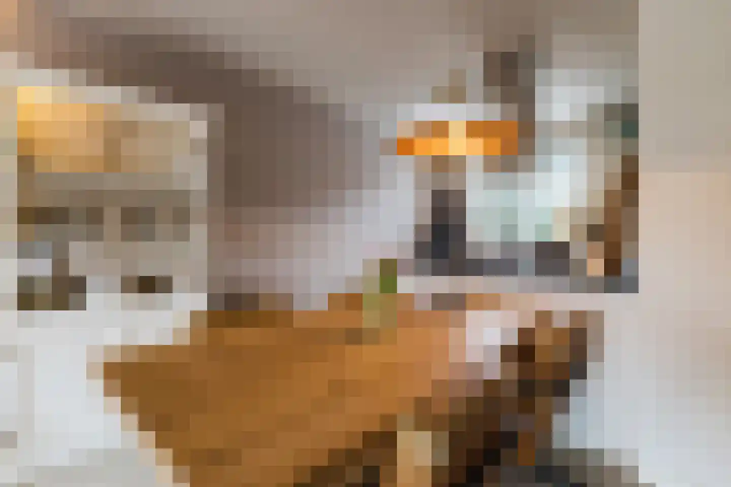 Diepenbroekstraat 31 Zaandam thumbnail 16