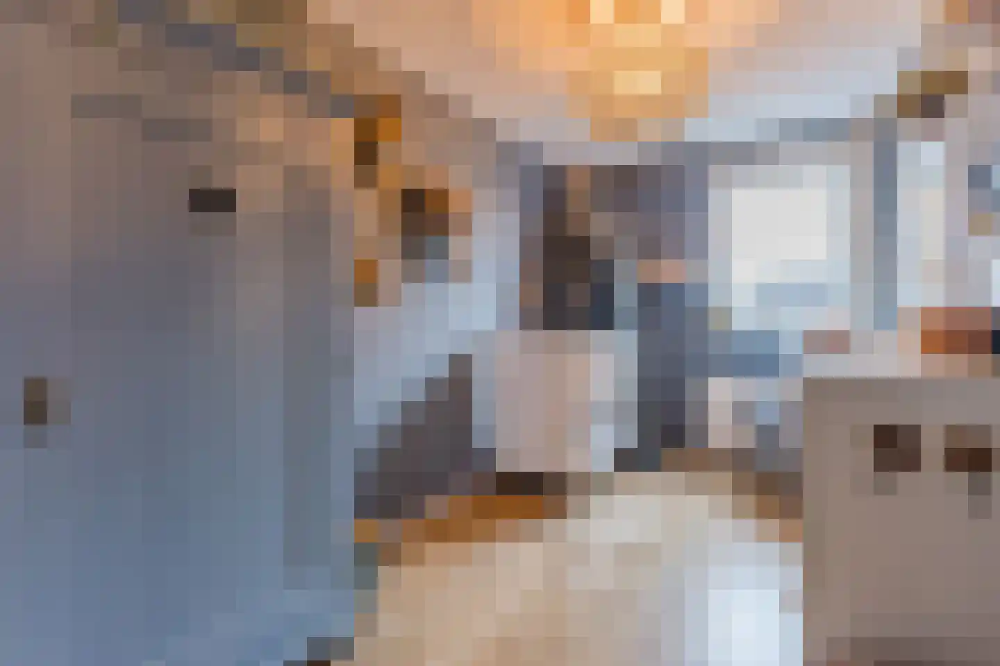 Diepenbroekstraat 31 Zaandam thumbnail 32