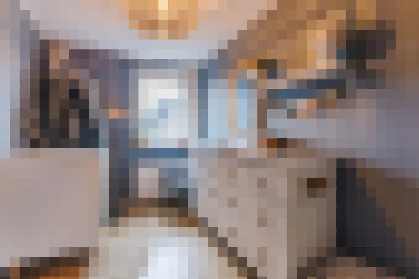 Diepenbroekstraat 31 Zaandam thumbnail 33