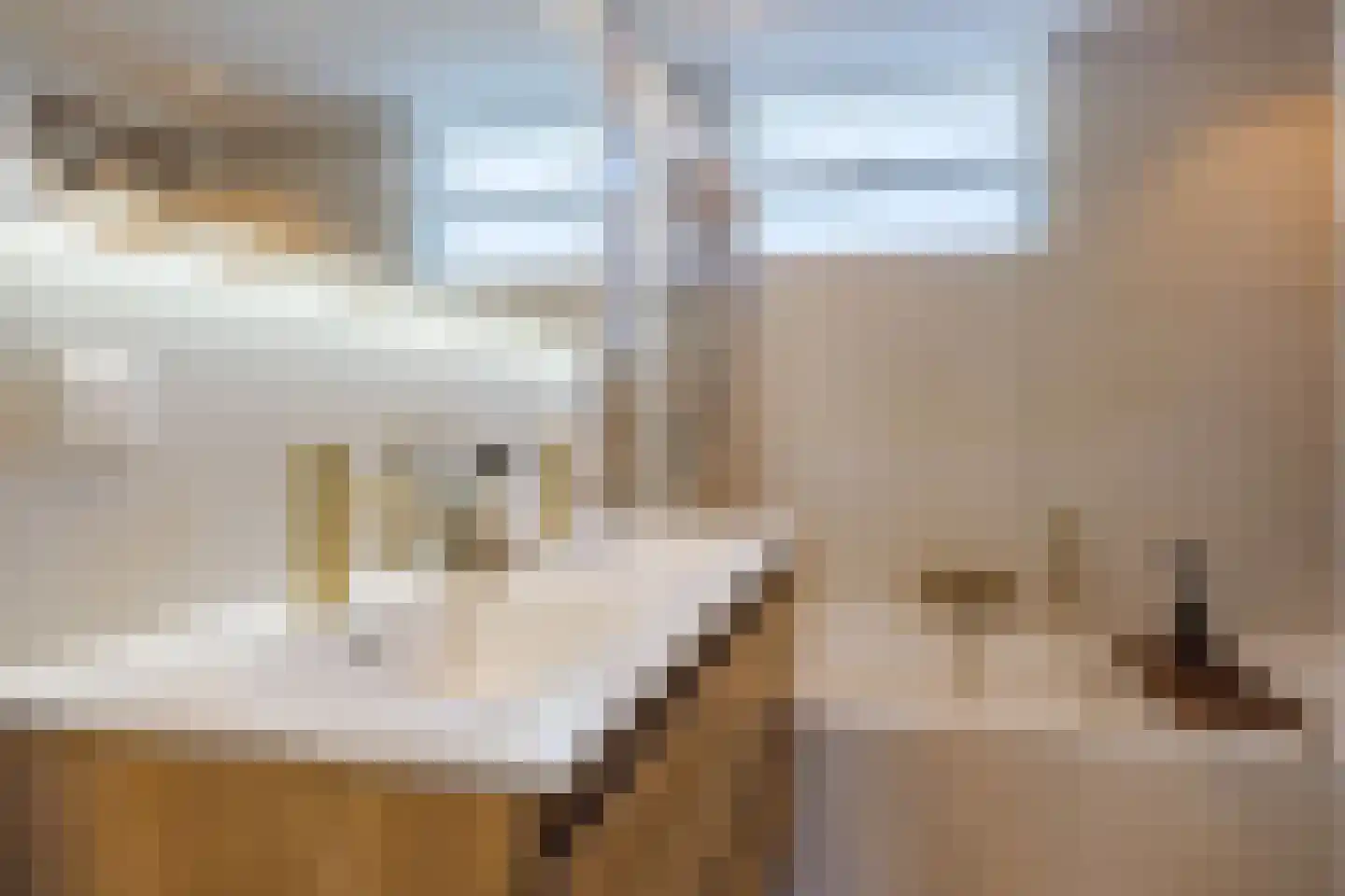 Diepenbroekstraat 31 Zaandam thumbnail 36