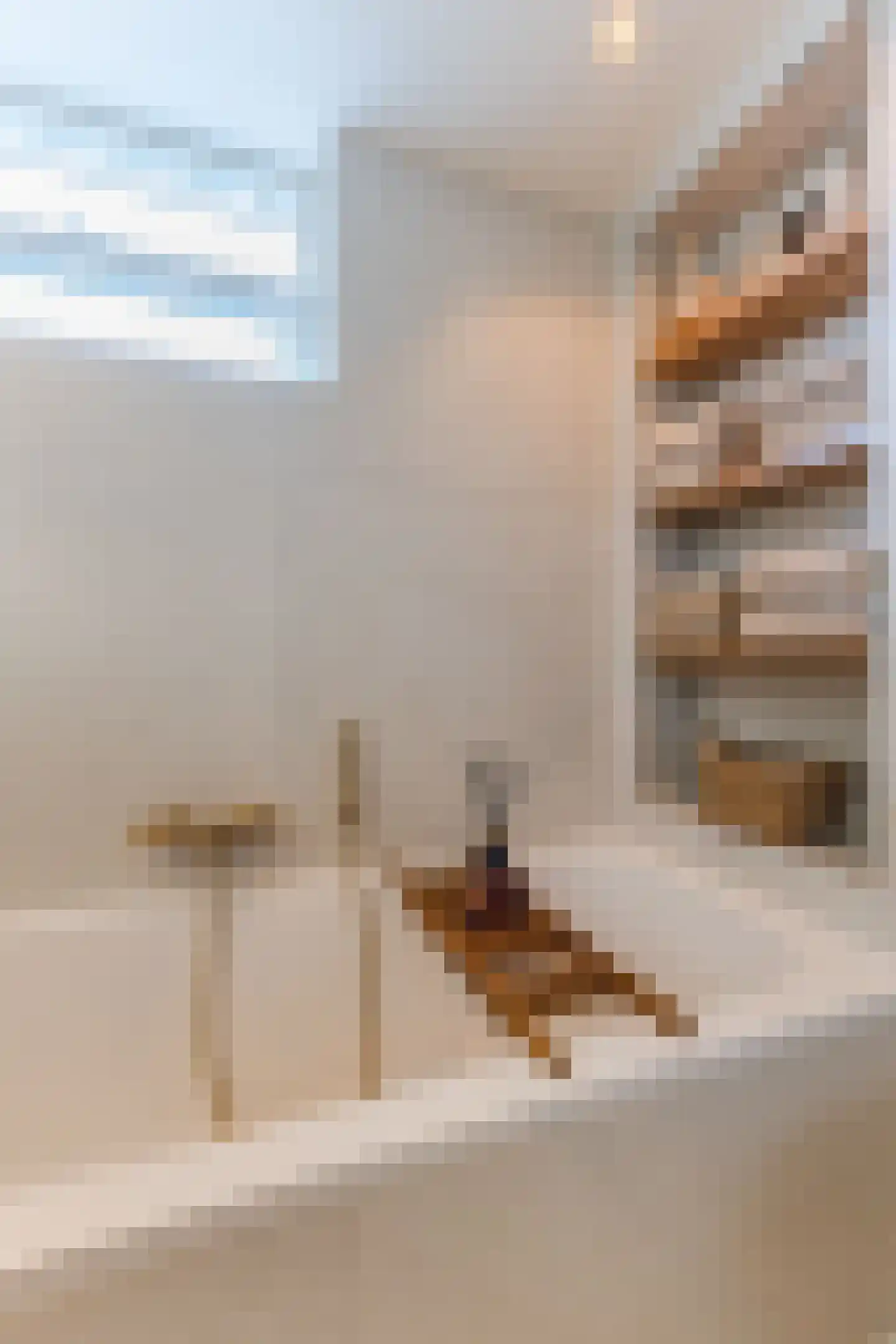Diepenbroekstraat 31 Zaandam thumbnail 39