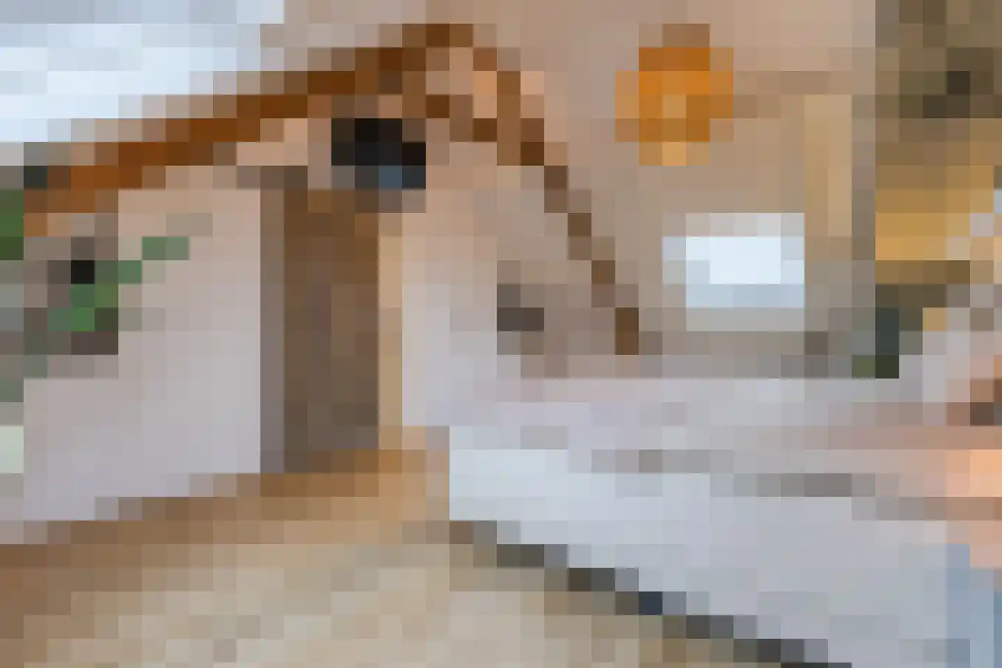 Diepenbroekstraat 31 Zaandam thumbnail 4