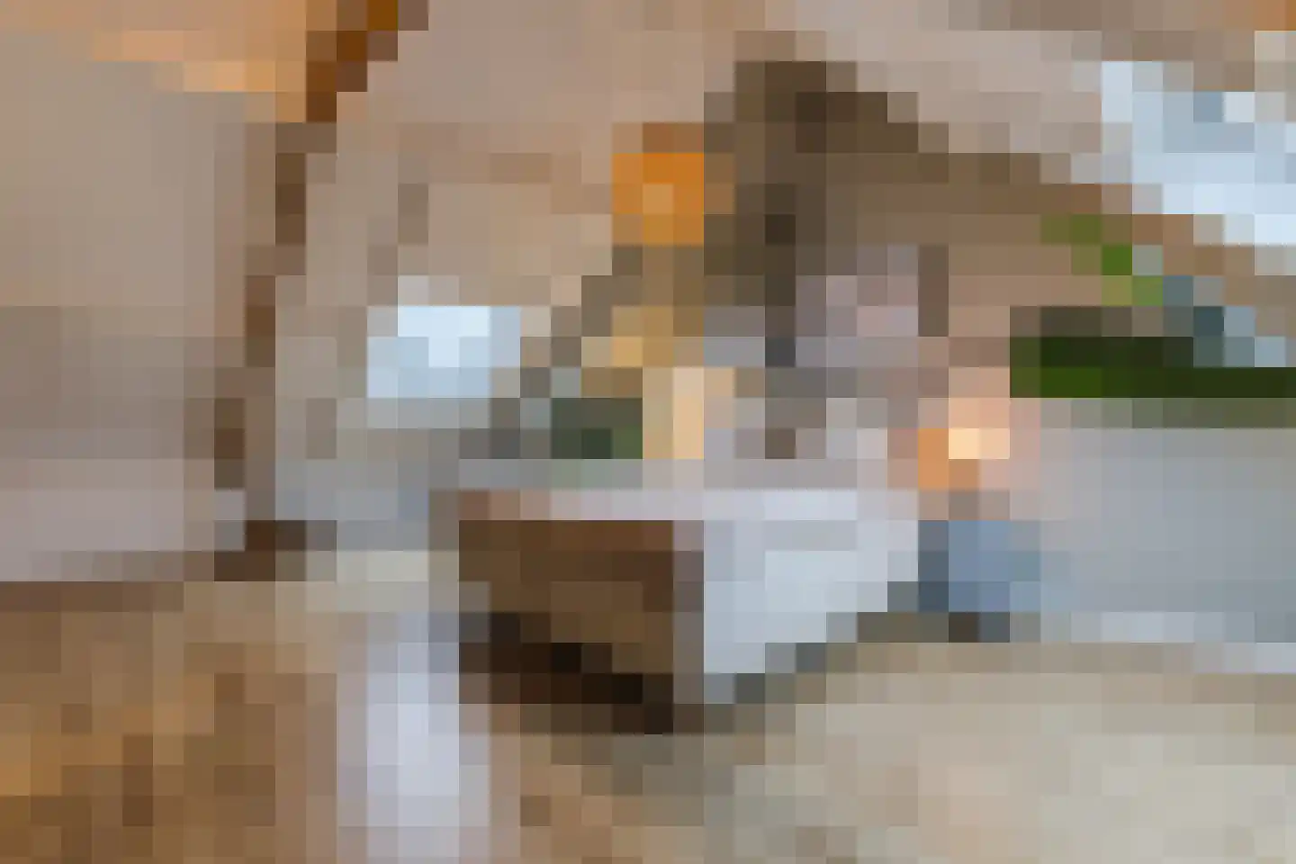Diepenbroekstraat 31 Zaandam thumbnail 41