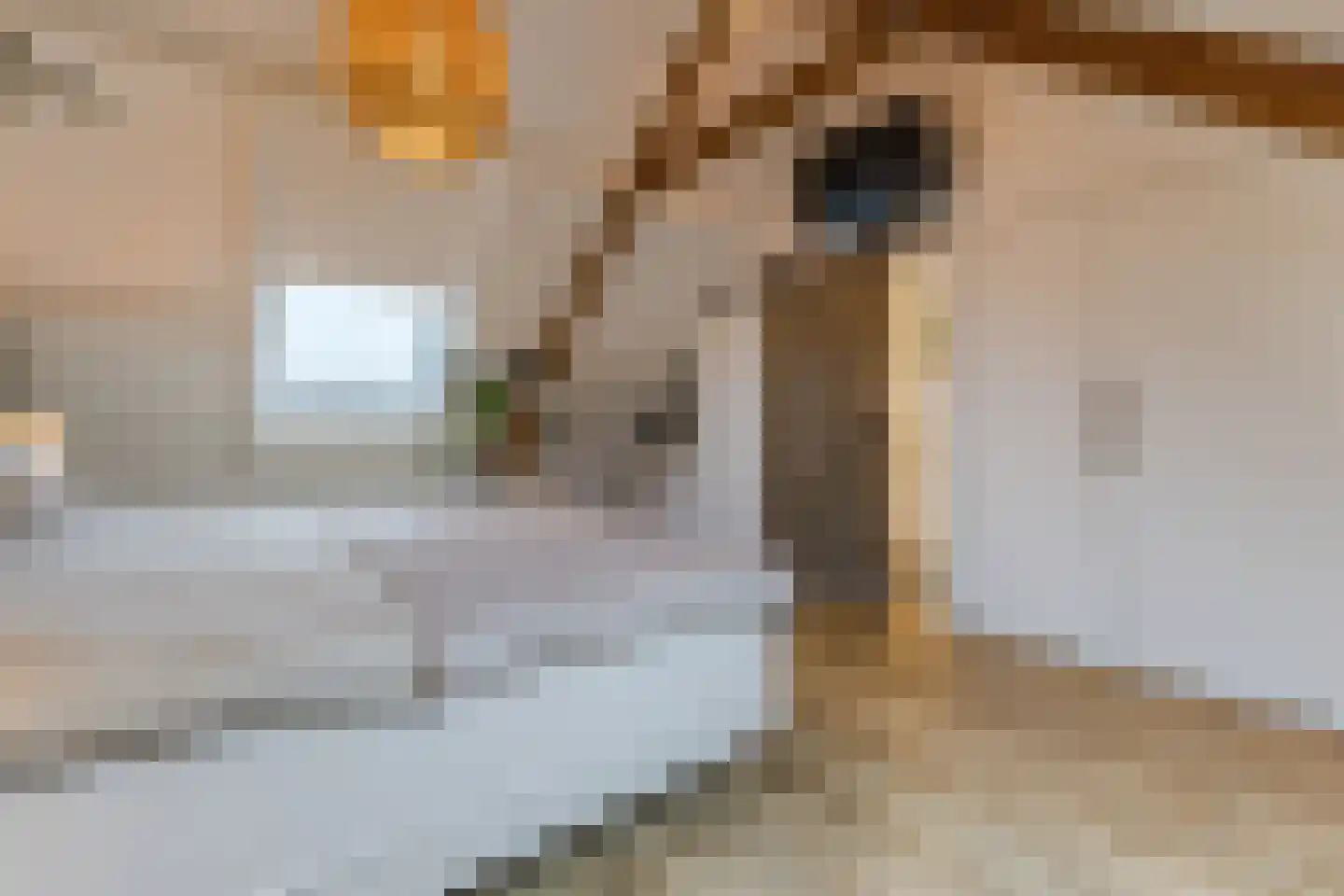 Diepenbroekstraat 31 Zaandam thumbnail 42