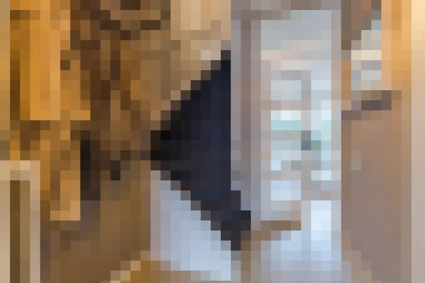 Diepenbroekstraat 31 Zaandam thumbnail 9
