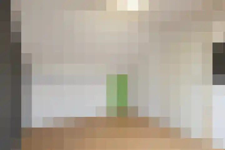 Diepenbroekstraat 49 Wehl thumbnail 21