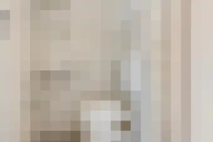 Diepenbroekstraat 49 Wehl thumbnail 9