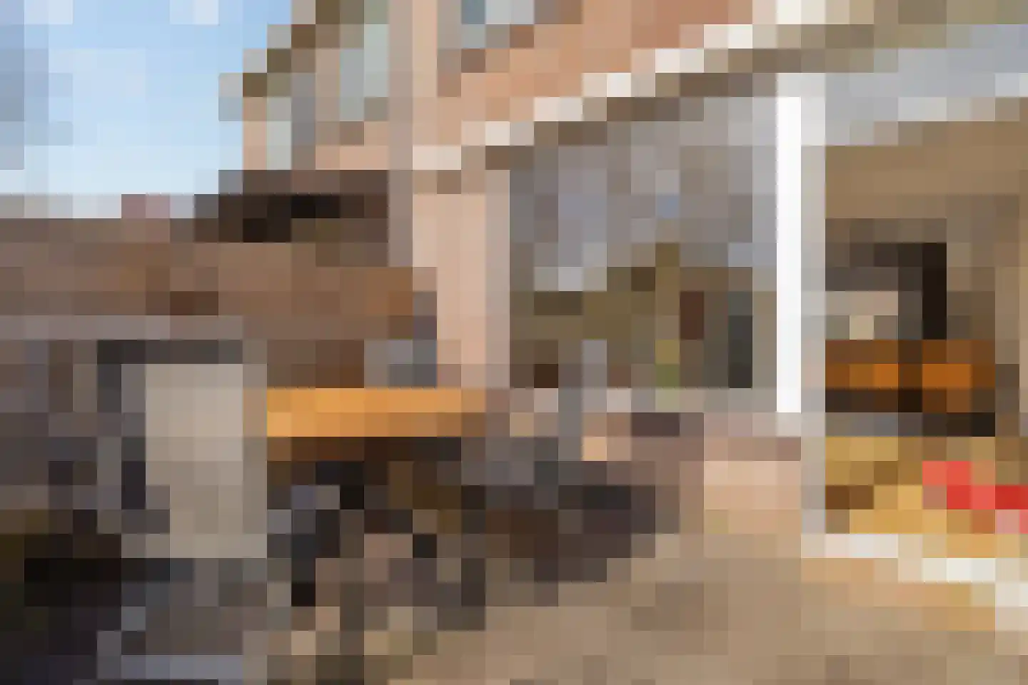 Diepenbroickpark 80 Weesp thumbnail 17