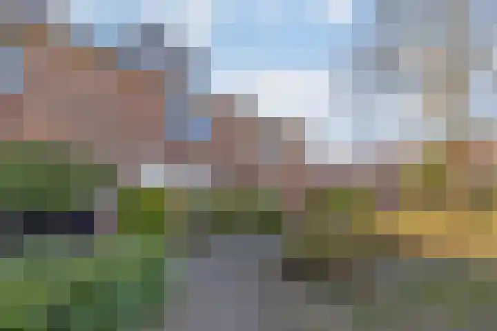 Diepenbroickpark 80 Weesp thumbnail 6