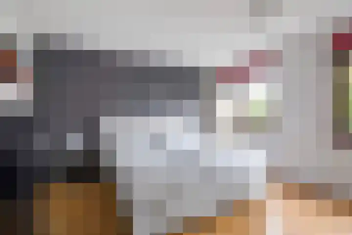 Diepenburchstraat 20 a Maasland thumbnail 18