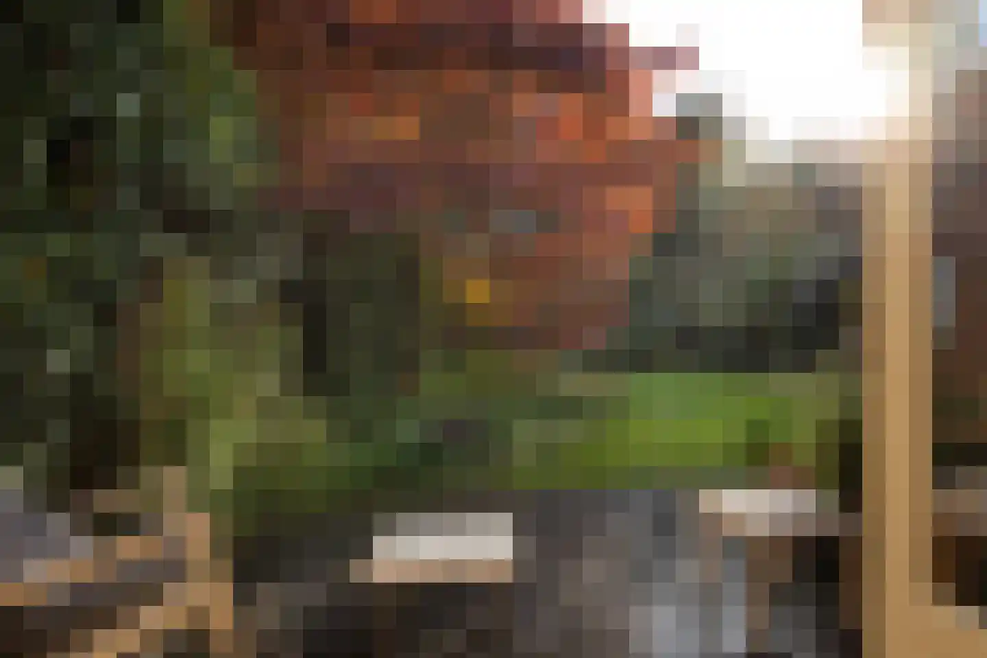 Diependaalse Drift 29 Hilversum thumbnail 32