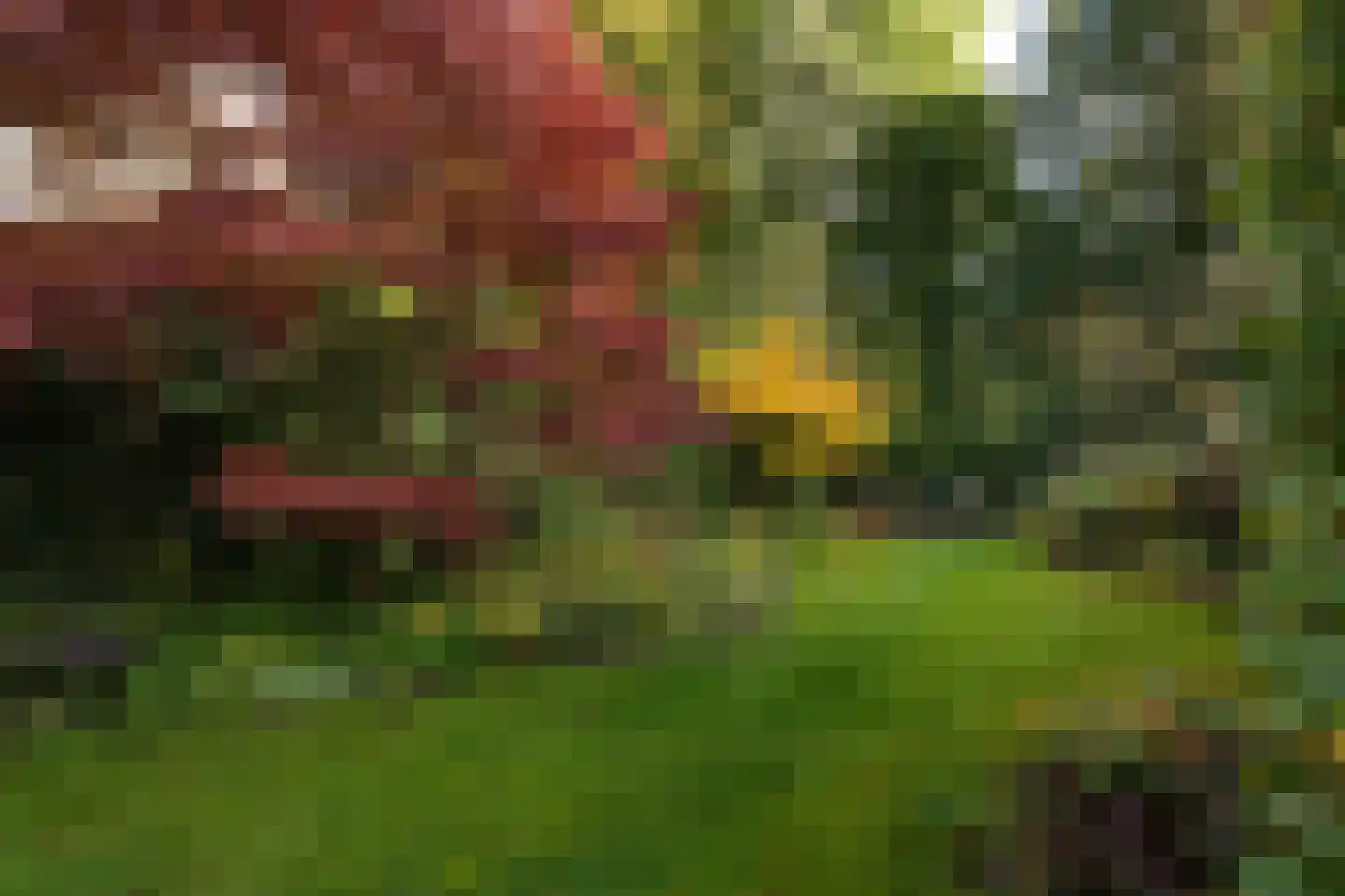 Diependaalse Drift 29 Hilversum thumbnail 33