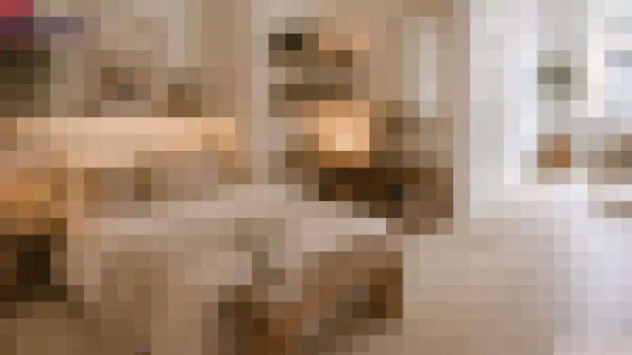 Diependaalsedijk 1 a Maarssen thumbnail 10