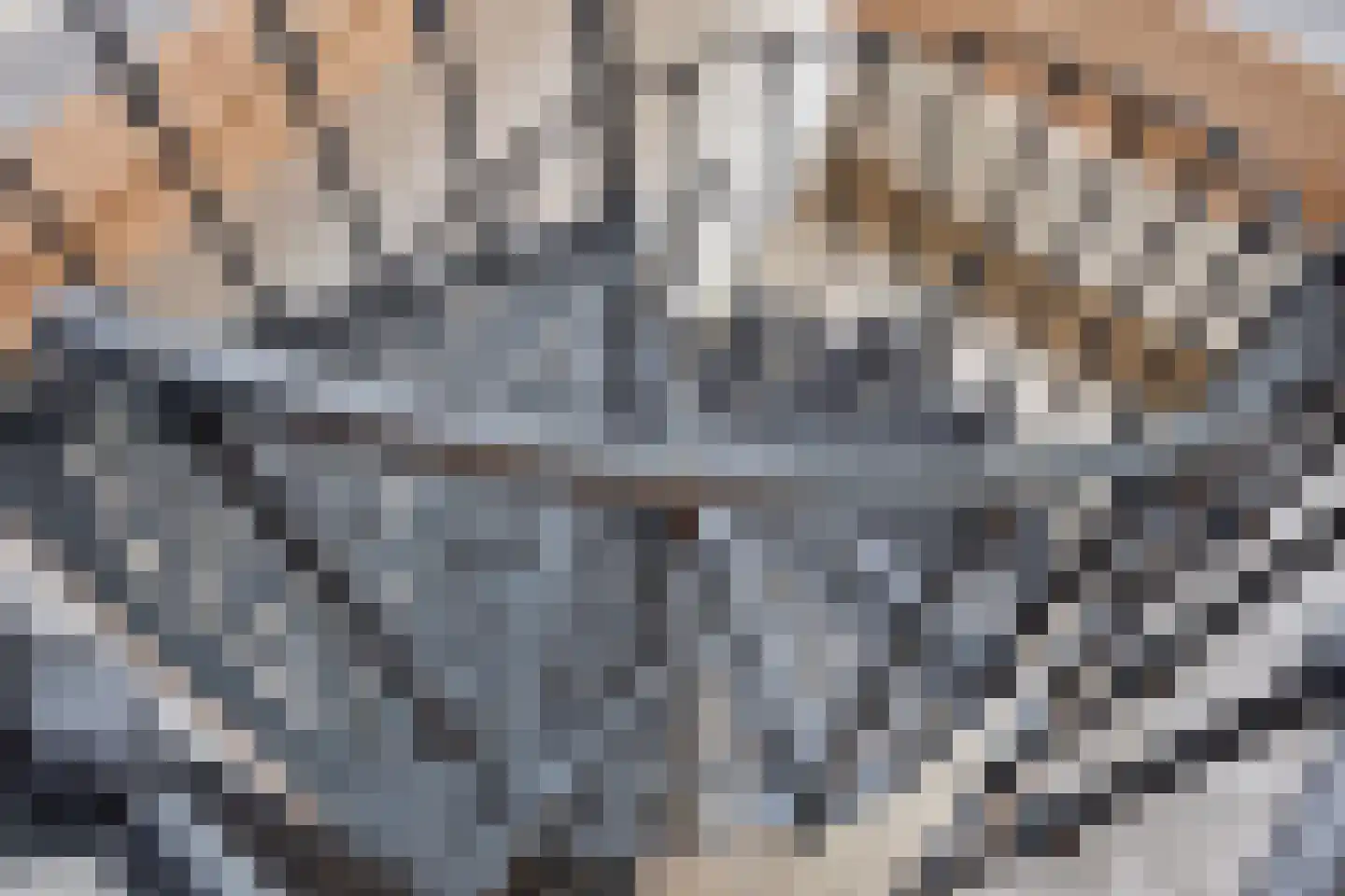 Diependaalsedijk 1 a Maarssen thumbnail 11