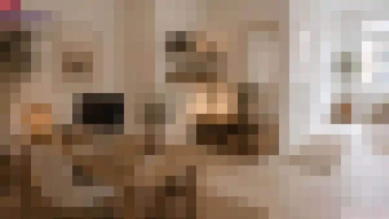 Diependaalsedijk 1 a Maarssen thumbnail 11
