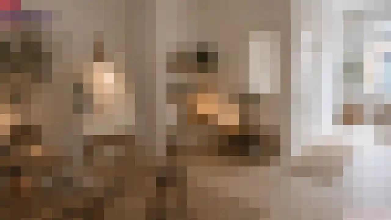 Diependaalsedijk 1 a Maarssen thumbnail 12