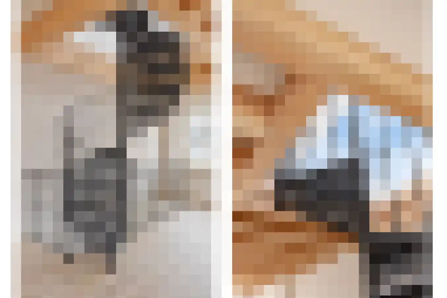 Diependaalsedijk 1 a Maarssen thumbnail 12