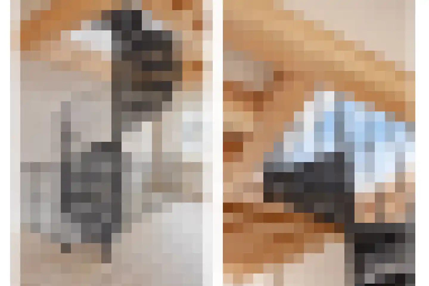 Diependaalsedijk 1 a Maarssen thumbnail 12