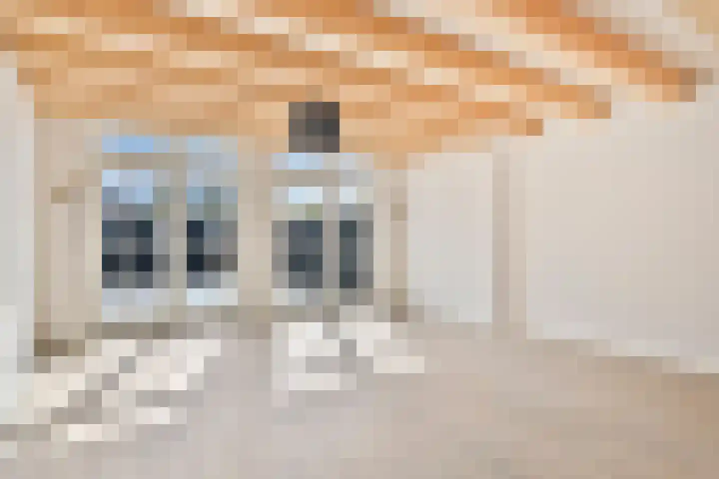 Diependaalsedijk 1 a Maarssen thumbnail 16