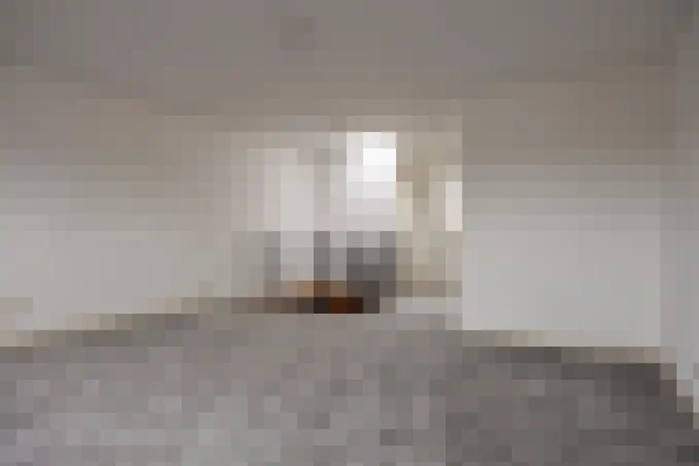 Diependaalsedijk 1 a Maarssen thumbnail 17