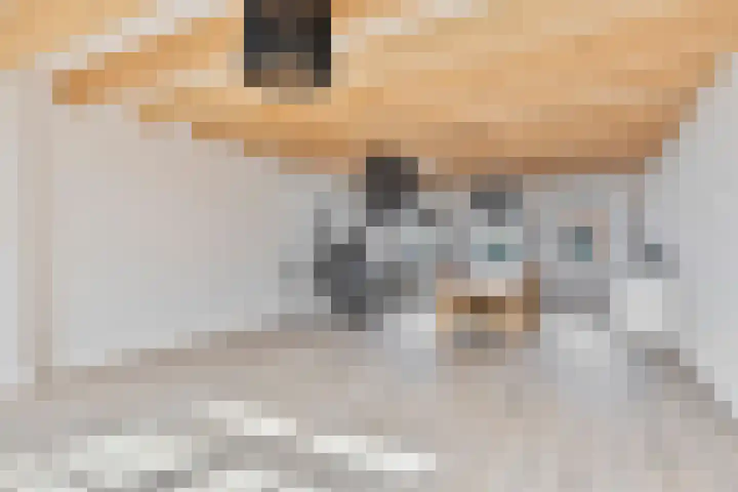 Diependaalsedijk 1 a Maarssen thumbnail 25