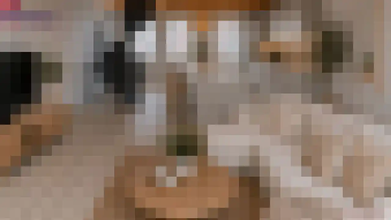 Diependaalsedijk 1 a Maarssen thumbnail 26