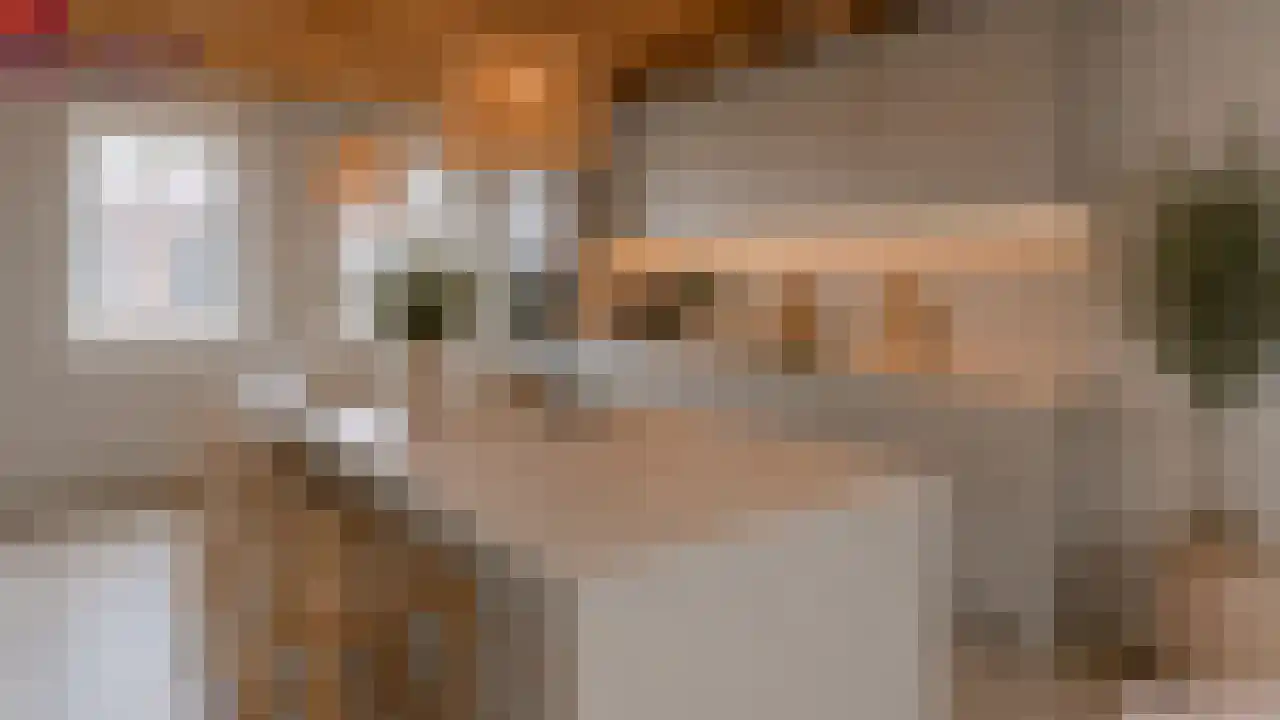 Diependaalsedijk 1 a Maarssen thumbnail 28