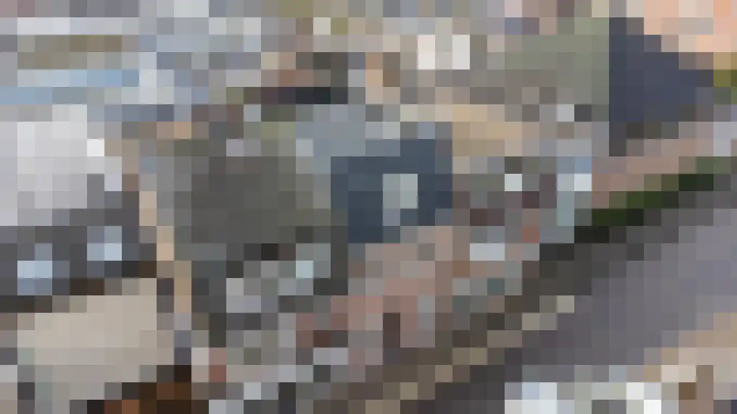 Diependaalsedijk 1 a Maarssen thumbnail 31