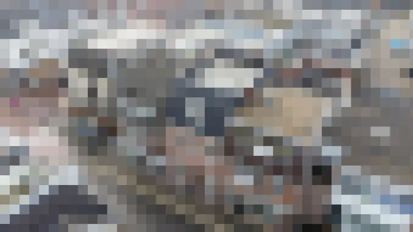 Diependaalsedijk 1 a Maarssen thumbnail 33