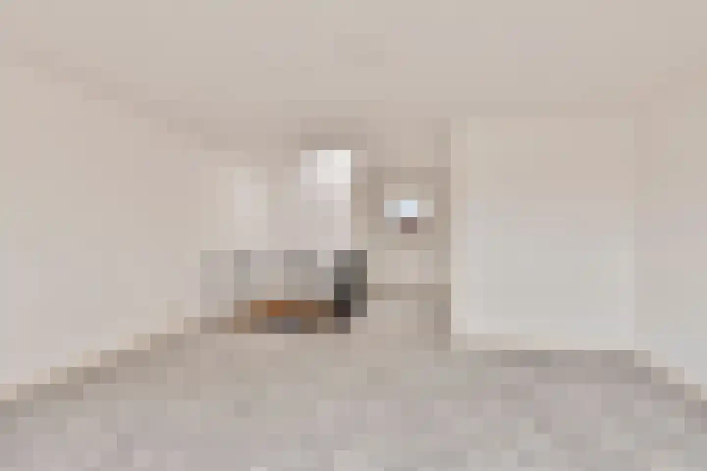 Diependaalsedijk 1 a Maarssen thumbnail 36