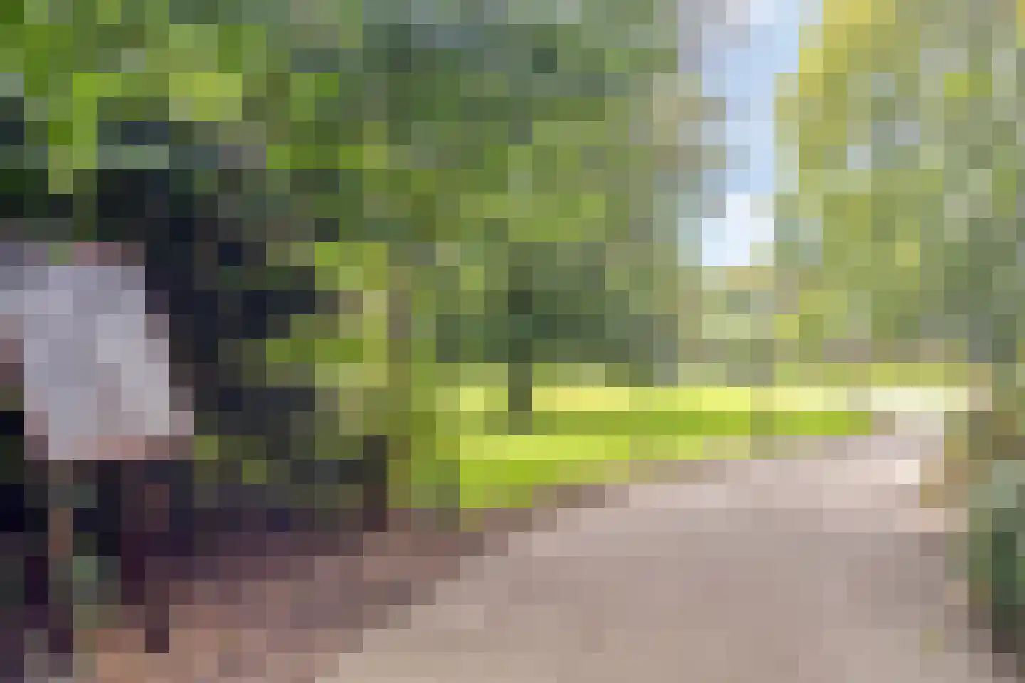 Diependaalsedijk 1 a Maarssen thumbnail 44