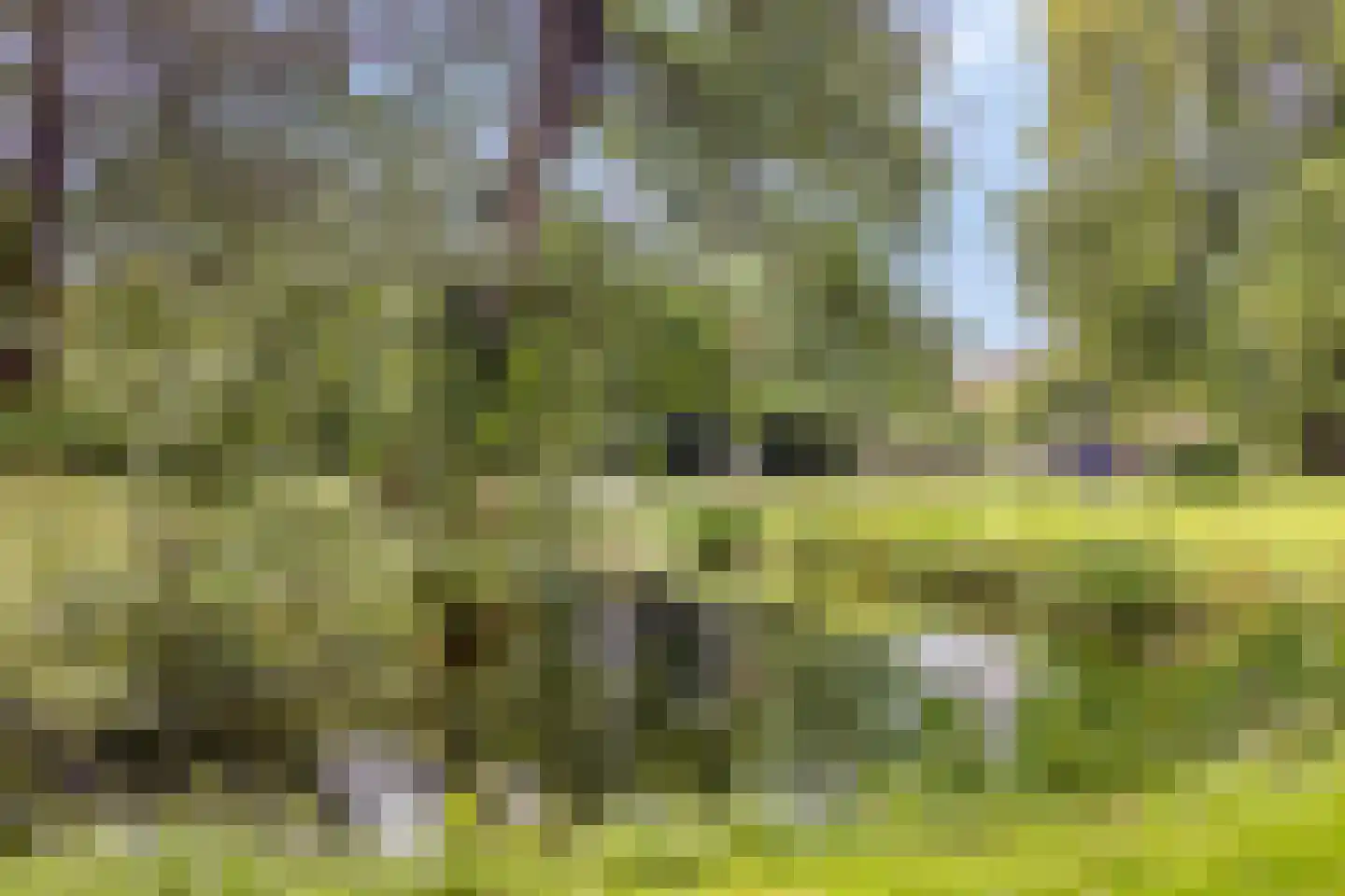 Diependaalsedijk 1 a Maarssen thumbnail 46
