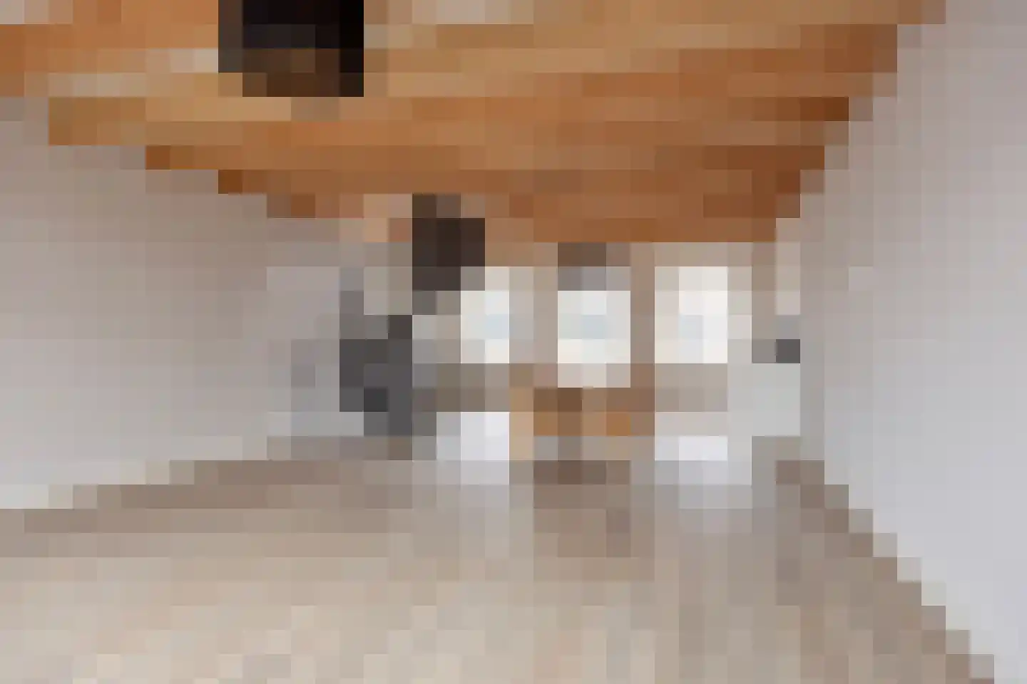Diependaalsedijk 1 a Maarssen thumbnail 6