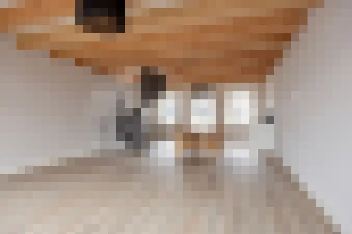 Diependaalsedijk 1 a Maarssen thumbnail 7