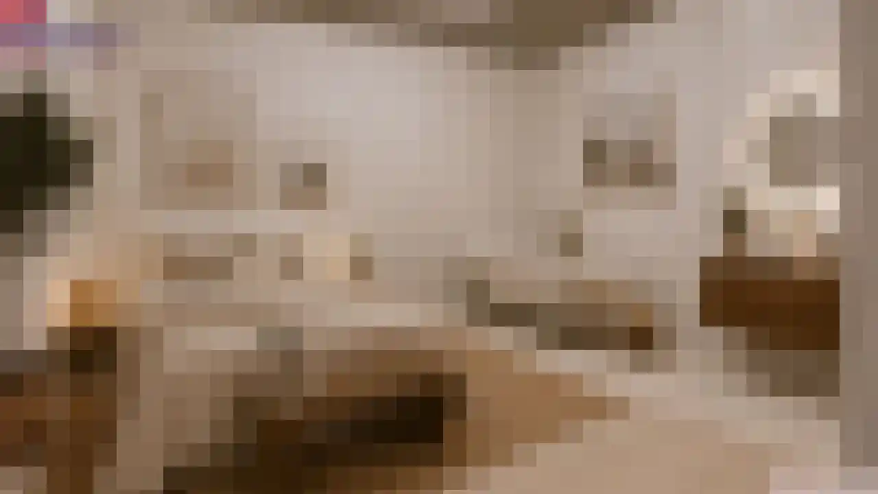 Diependaalsedijk 1 a Maarssen thumbnail 8