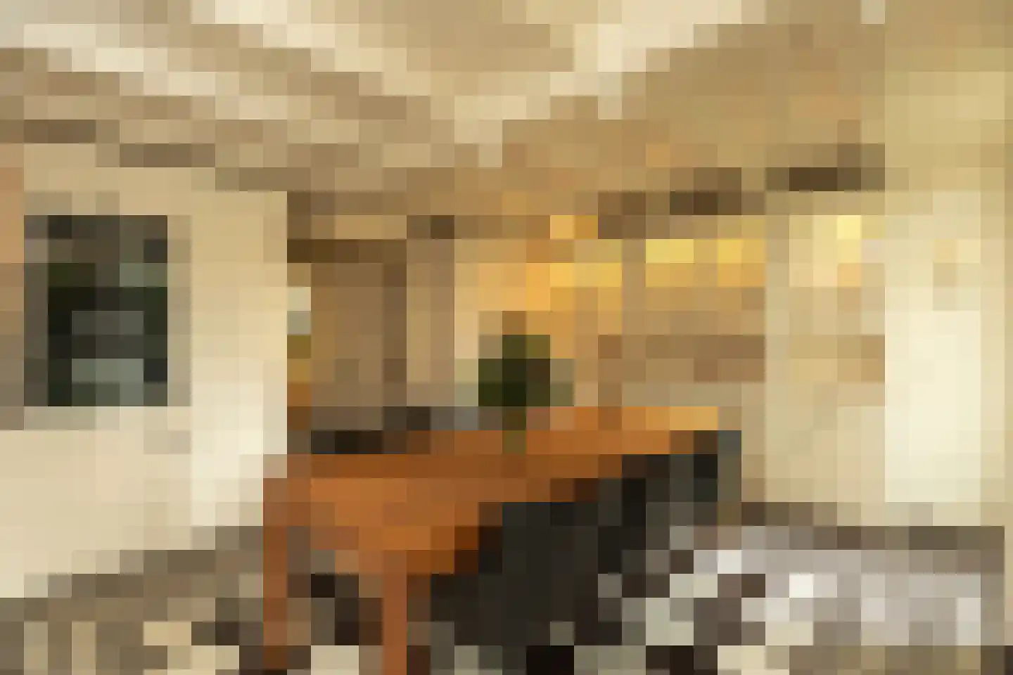 Diependaalselaan 108 Hilversum thumbnail 12