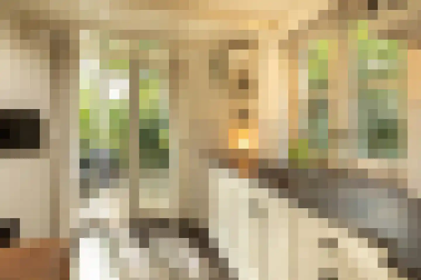Diependaalselaan 108 Hilversum thumbnail 13